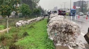 Seyhan Belediyesi Spor Okulları, çocukları sağlıklı bir geleceğe hazırlıyor