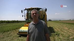 Bursa'da kıran kırana muhtarlık yarışı! 19 bin seçmenin...