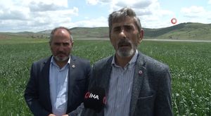 Karadeniz olması gerekenden sıcak