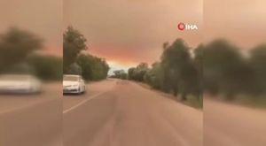 Türkiye'de çıkarılıyor 37 ülkeye ihraç ediliyor: 