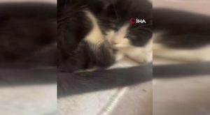 Uyuşturucu taciri otobüste yakalandı