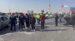 Birçok hastalığa iyi geldiği bilinen kış çayına rağbet arttı