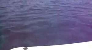 denizde radarsız balık bulma teknikleri