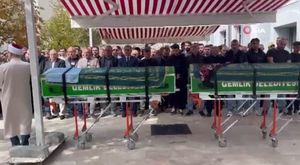Bursa'da 3 İskender papağanı yavrusu kurtarıldı