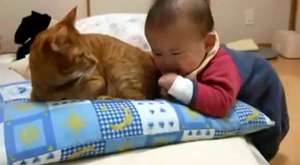 kedinin kuyruğunu ısıran bebek :)) 