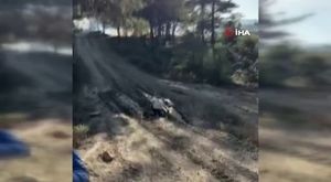Hatay'da 22 bin 239 bağımsız bölümün hak sahibi belirlendi
