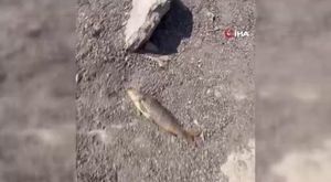 Bursa'da kadını taciz etmişti! Tutuklandı