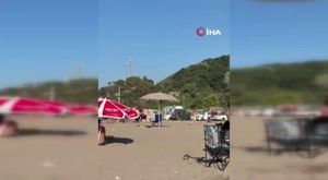 Dans eden yunuslar Bursa Mudanya'da görüntülendi