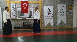 aikido boğma