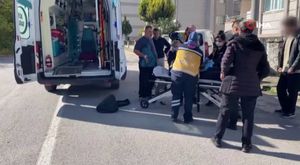 Bursa İznik’te büyük orman yangını