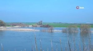 Bursa'da yaz spor okullarına renkli veda