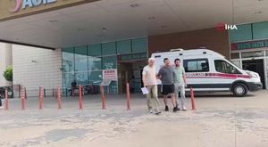 Romanyalı kızlar Yaban mersini hasadını Bursa'da yaptı