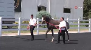 Bursa’da kaybolan 61 yaşındaki adamın cansız bedeni barajda bulundu