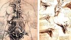 Gizemleriyle Sırlarıyla Hayatıyla Leonardo da Vinci 