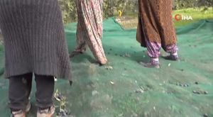 Bursa'da arazi kavgası: Baltalar ve sopalar konuştu