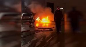 Bursa'da zehir akan derede toplu balık ölümü yaşanıyor