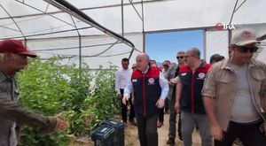 Denizli’nin hububat deposu Acıpayam’da arpa hasadı başladı