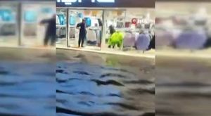 Adana dahil 27 ilde düzenlenen siber suç operasyonlarında 237 şüpheli yakalandı, 118'i tutuklandı