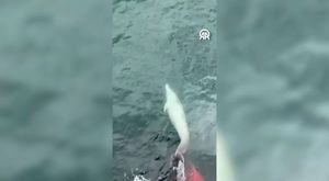 EDİRNE'DE NALBUR DEPOSUNDA YANGIN ÇIKTI