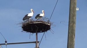 İstanbul'da alt geçitten düşen tavan parçaları araçlara zarar verdi