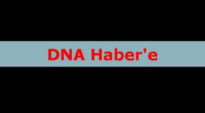 Banu Avar Duisburg da DNA Haber'e konustu