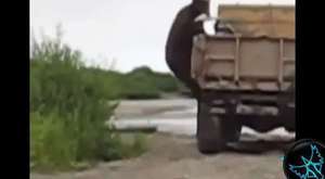 komik videolar (sesli güldüm) 