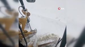 Uludağ'da kış uykusuna yatamayan ayılar yemek aramaya çıktı