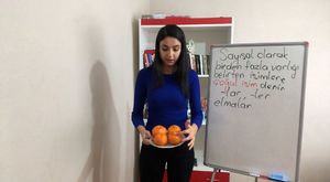 2.ve 3.sınıf Tekil, Çoğul ve Topluluk İsimleri 