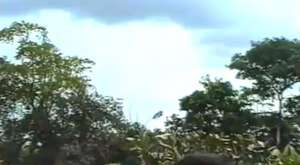 ILUSÃO CRIADA EM UMA QUADRA COMPARADA COM 11 DE SETEMBRO SAIBA