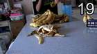 The 50 Banana Challenge | Matt Stonie 