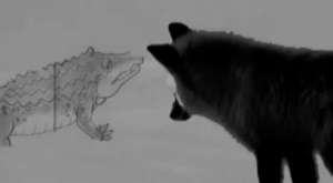 Meher Abdelnor  Iyo Rowdo 