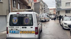 Bursa'da 100 dönüm ormanlık alan yenilenme gerekçesiyle kesildi