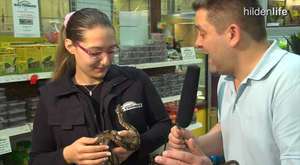 ZOO TV - Zoo Talk: Schlangen als Haustiere