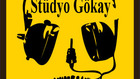 studyogokay