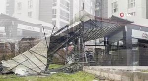 Kardeş vahşeti! Ağabeyinin de içinde bulunduğu marketi yaktı: 1 ölü, 5 yaralı