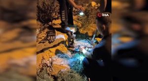 Büyükşehir hem çiftçiyi hem vatandaşı gülümsetti