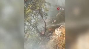 Seyir halindeki tıra yaklaşıp içindeki koyunları çaldılar