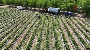 Askeri taşımacılıkta yerli vagon dönemi için sona gelindi