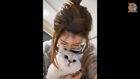 Funny Dogs  Cats Scared Of Cat Mask Filter - Dog
