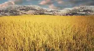 Tarım Arazileri ve Gıda Koruma Kamu Spotu-1 