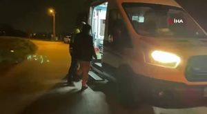 Bursa'da kerestelerin arasına sıkışan köpeği itfaiye kurtardı