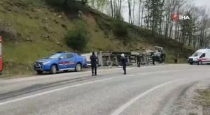 Bursa Uludağ'da dev karınca yuvaları görenleri şaşırtıyor