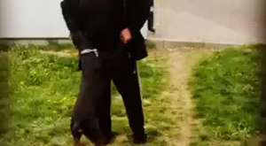 Dayı2