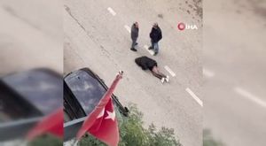 Bursa'da anne ve yavru ayı vatandaş kamerasına yansıdı