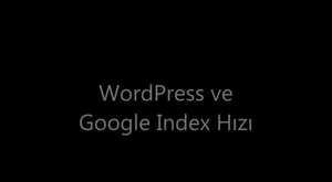 WordPress Seo - İndex Hızı