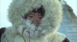 Sibirya tundralarında yaşam (ARTE 360° belgeseli)