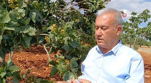 Karadeniz olması gerekenden sıcak