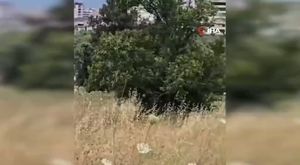 Bursa'da 15 Temmuz anma programları şehitlik ziyaretiyle başladı