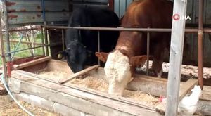 Bursa'da scooter kazası: 1 yaralı