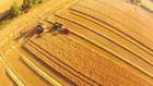 Buğday hasatını helikopterden izleme Muhteşem görüntüler